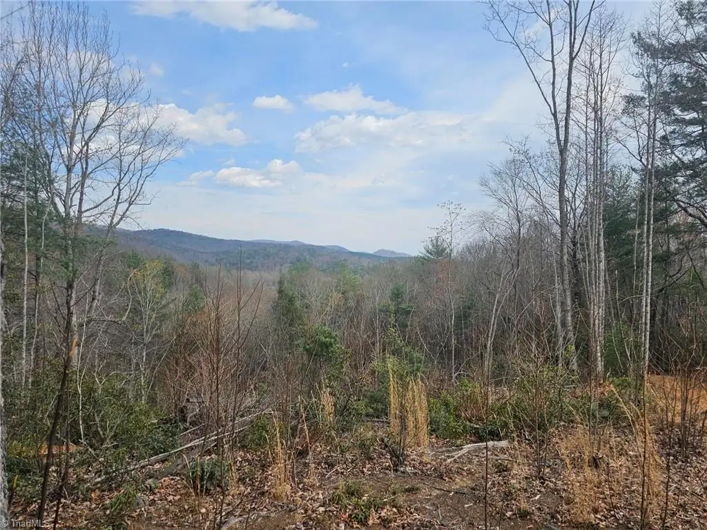 Lot 2 Widow Mountain Drive, Walnut Grove, NC 28635 - #1