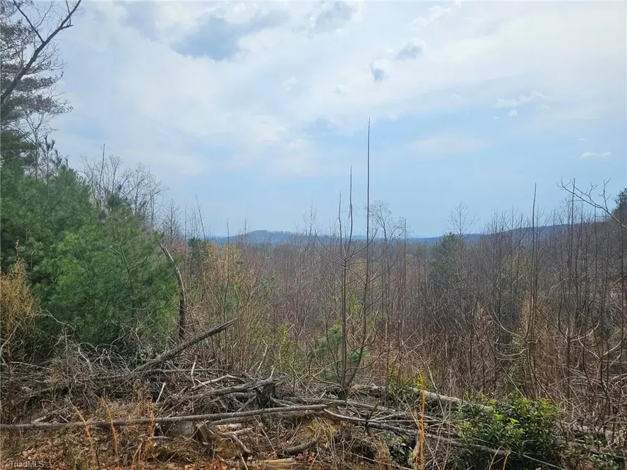 Lot 2 Widow Mountain Drive, Walnut Grove, NC 28635 - #3