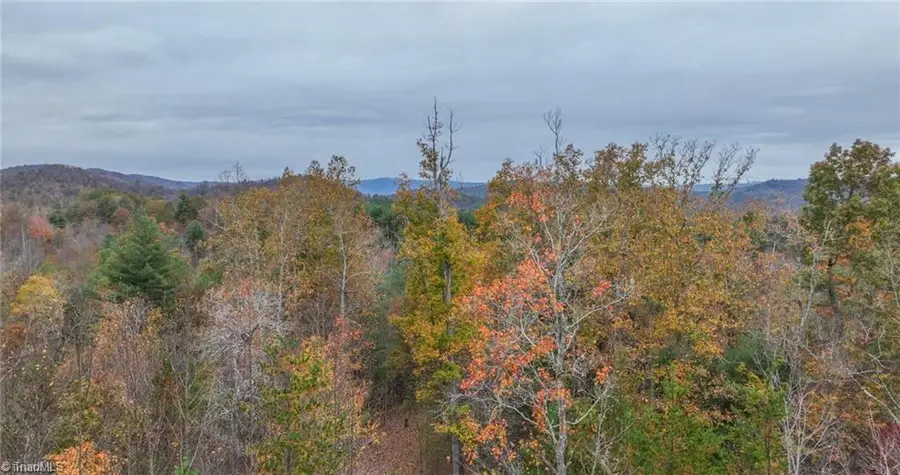 TBD Us Highway 421, Ferguson, NC 28624 - #2