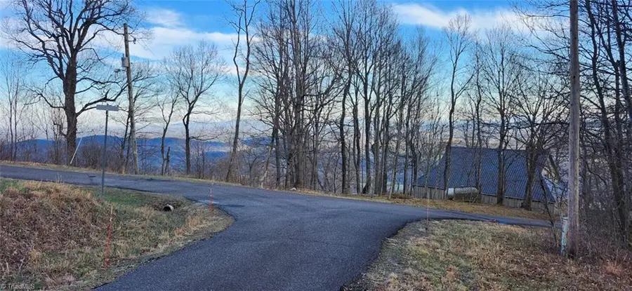 TBD Gulch Road #1,2,3, Ararat, VA 24053 - #2