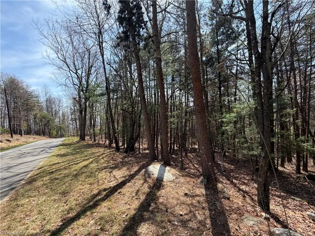 Lot 105 Greenstreet Drive, Traphill, NC 28685 - #1