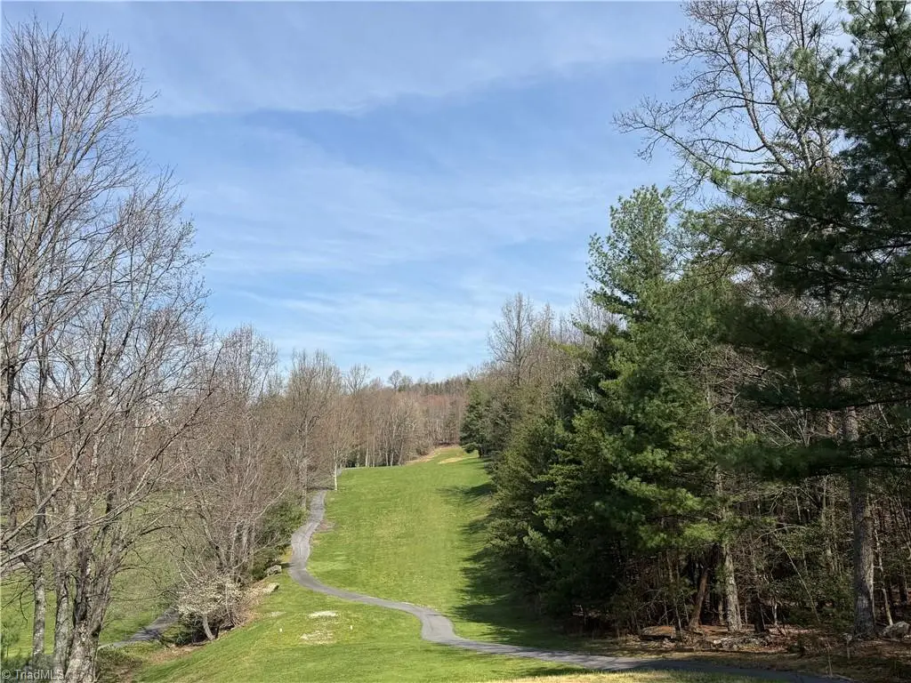 Lot 33 Greenstreet Drive, Traphill, NC 28685 - #1