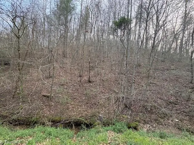 TBD N Marley Ford Road, Ferguson, NC 28624 - #2