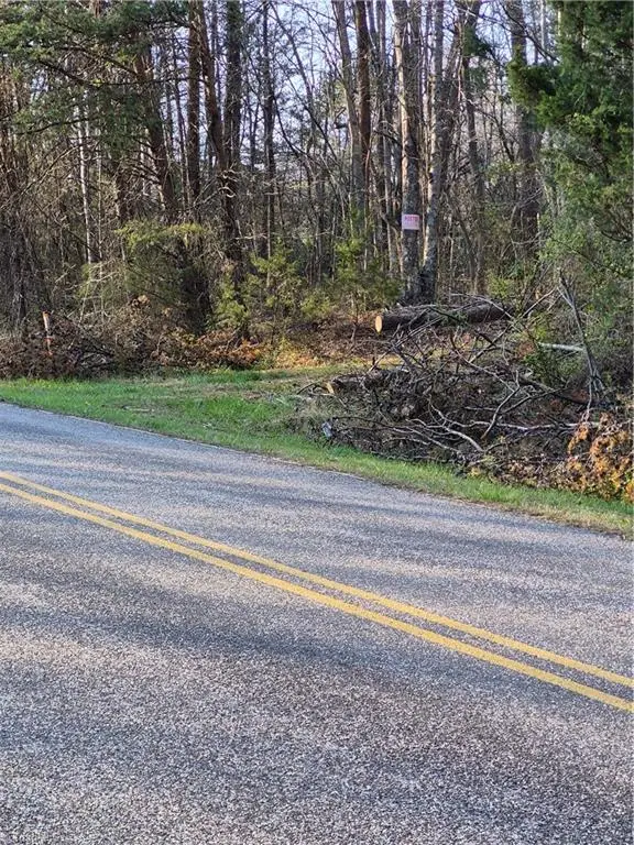 1456 Mcdaniel Road, Pilot Mountain, NC 27041 - #3