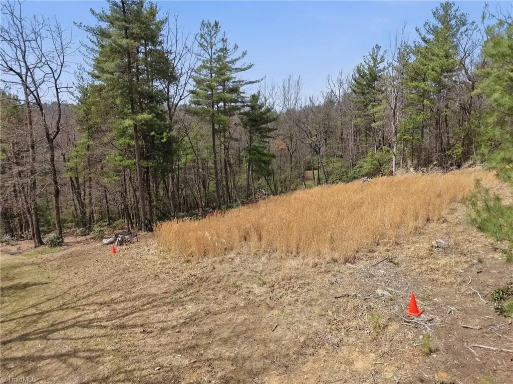 Lot 109 & 110 Pepper Bush Road, Purlear, NC 28665 - #1