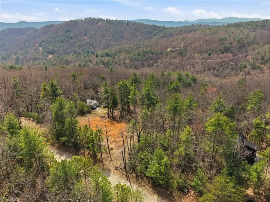 Lot 109 & 110 Pepper Bush Road, Purlear, NC 28665 - #2