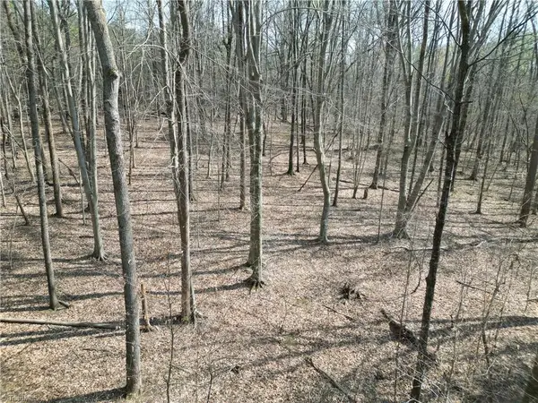 0000 Tilden Nursery Road, Lexington, NC 27295