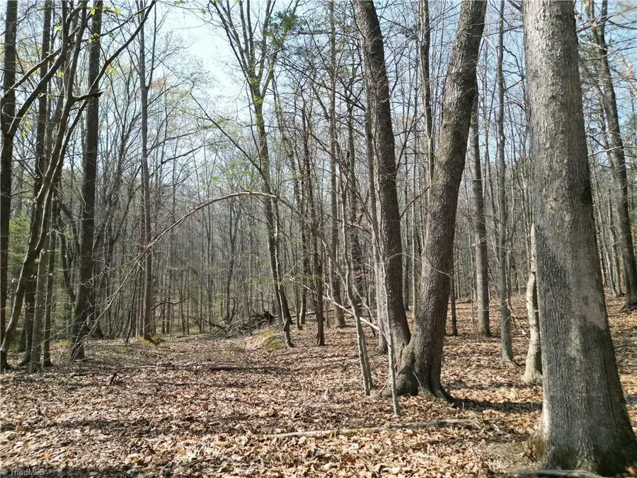 0000 Tilden Nursery Road, Lexington, NC 27295 - #3