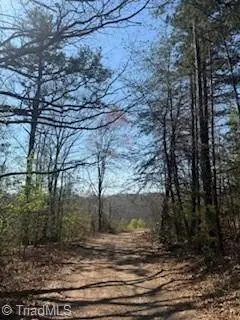 4675 Hickory Nut Ridge Road, Granite Falls, NC 28630 - #2