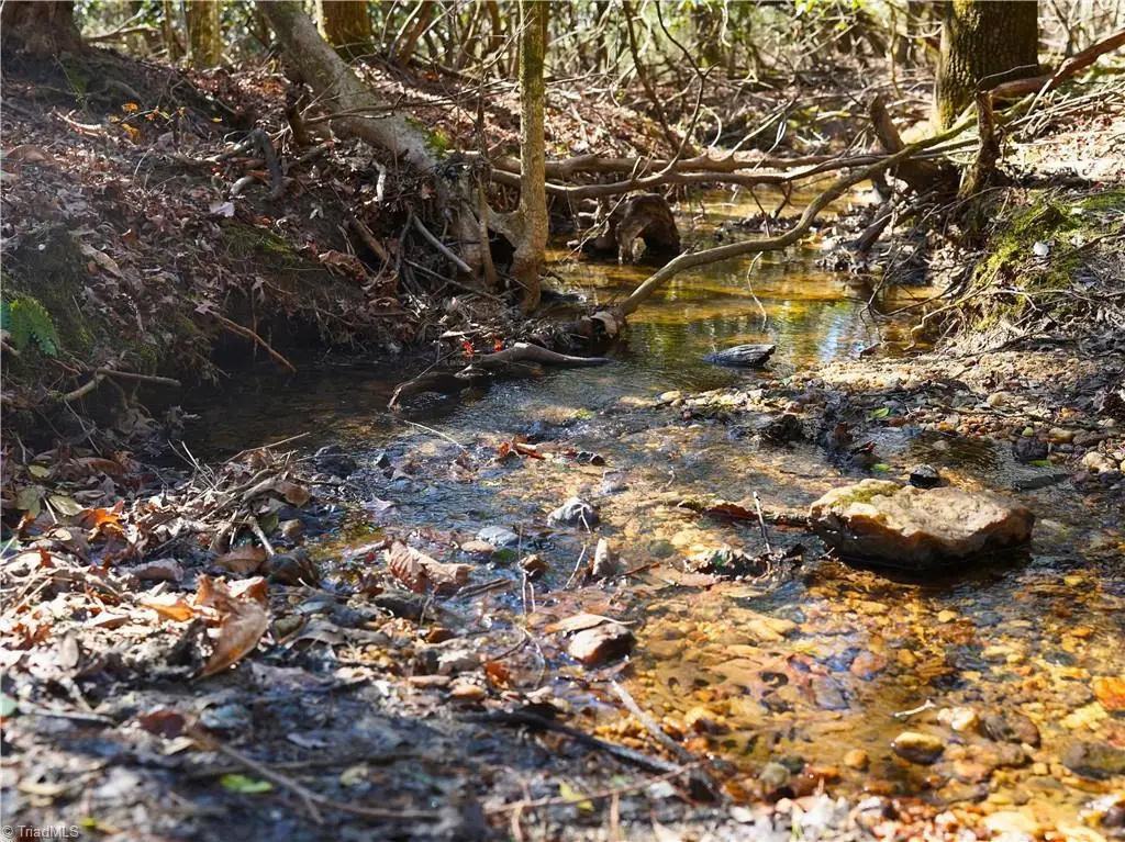 TBD Flagstone Way, Lowgap, NC 27024 - #1