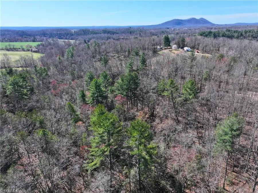 TBD Flagstone Way, Lowgap, NC 27024 - #2