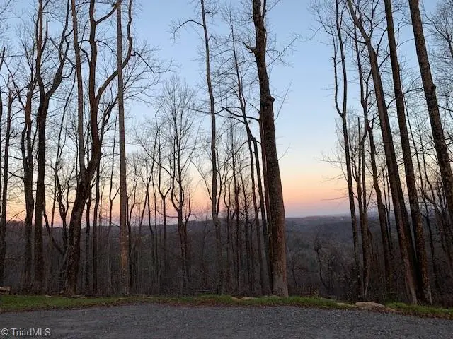 2480 Bethany Church Road, Moravian Falls, NC 28654 - #2