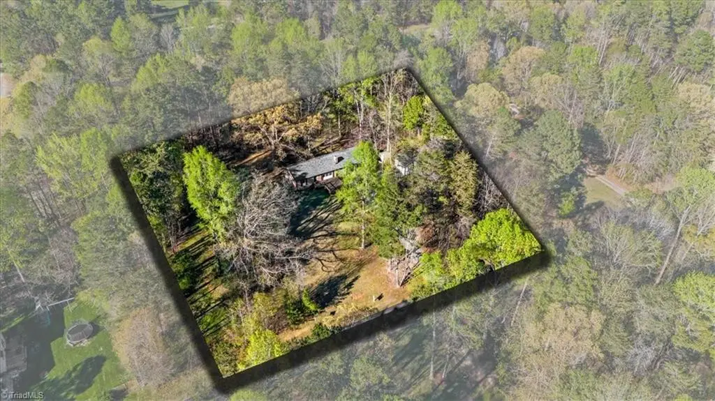 4605 Laura Drive, Climax, NC 27233 - #1