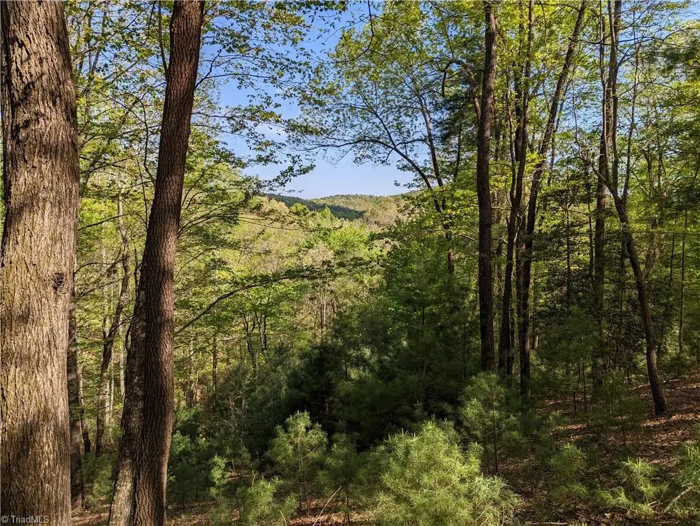 TBD Sutters Ridge Road #Lot 94, McGrady, NC 28649 - #1