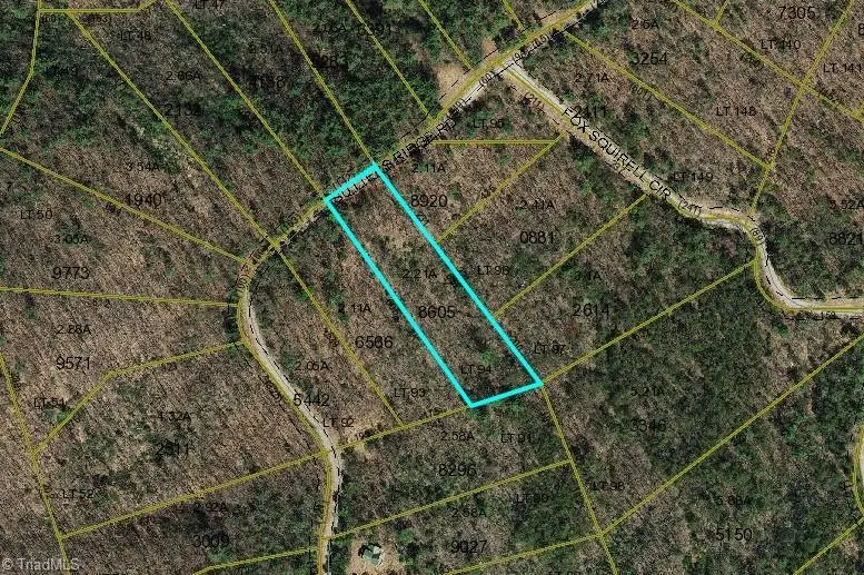 TBD Sutters Ridge Road #Lot 94, McGrady, NC 28649 - #2