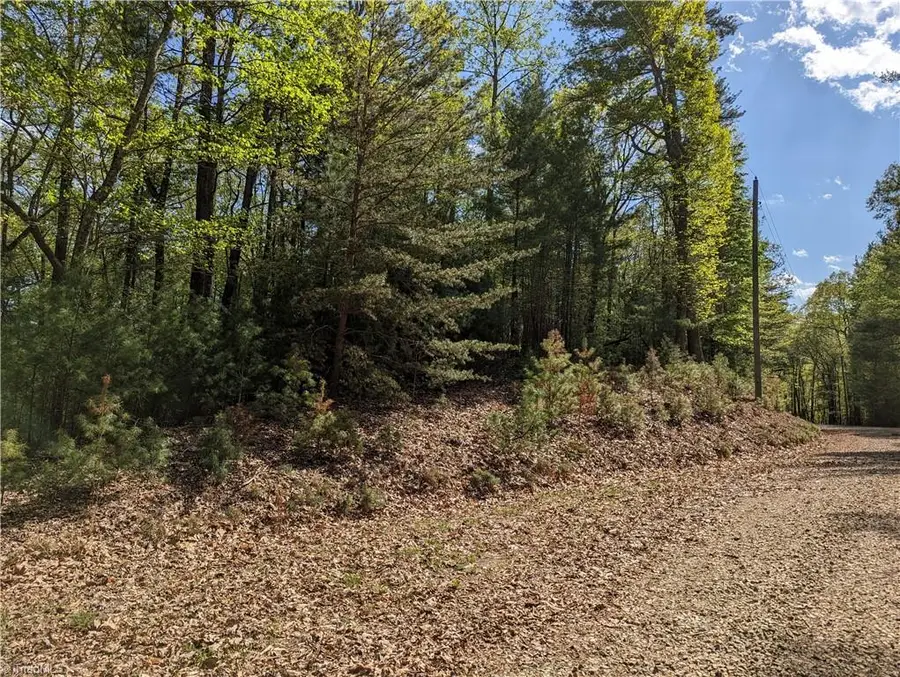 TBD Sutters Ridge Road #Lot 94, McGrady, NC 28649 - #3