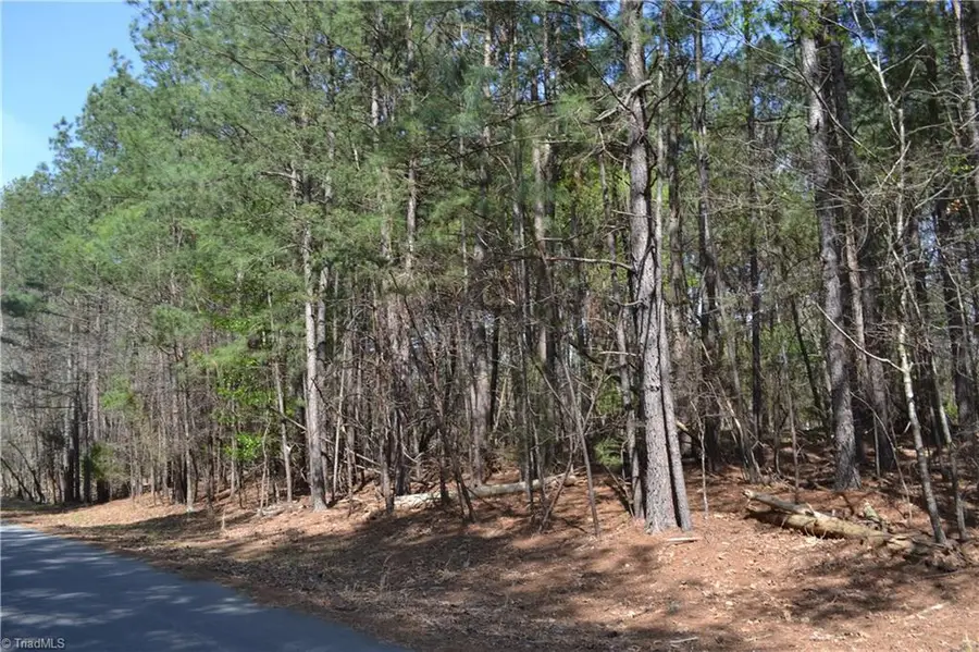 3.6 Acres Fairway Drive, Stoneville, NC 27048 - #2