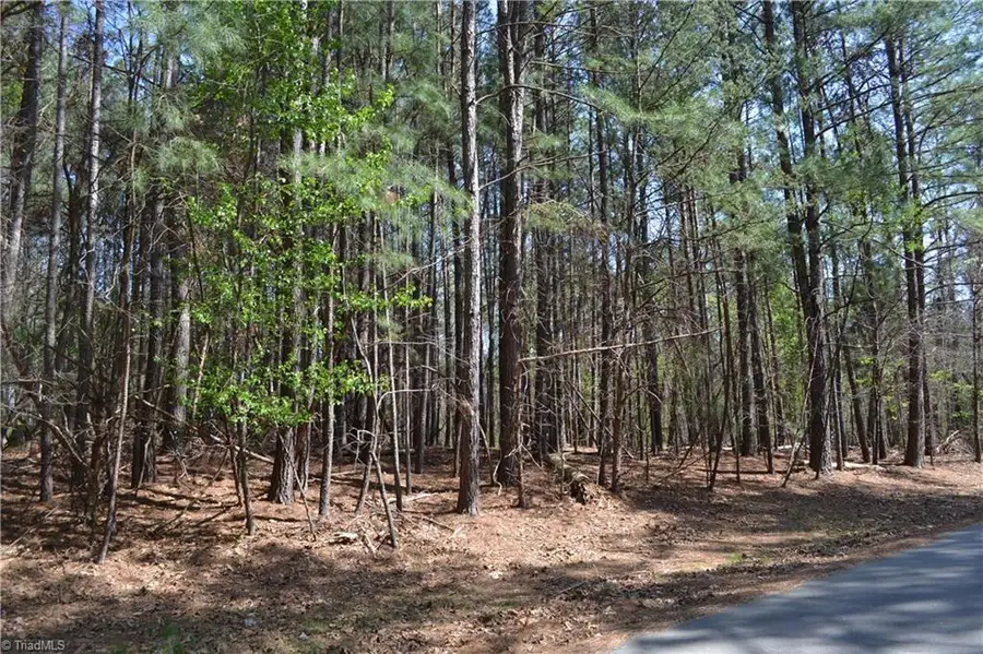3.6 Acres Fairway Drive, Stoneville, NC 27048 - #3