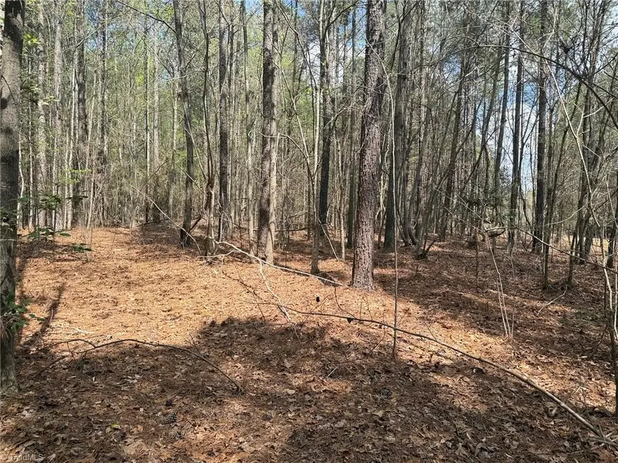 Lot 7 Thompson Road, Seagrove, NC 27341 - #2