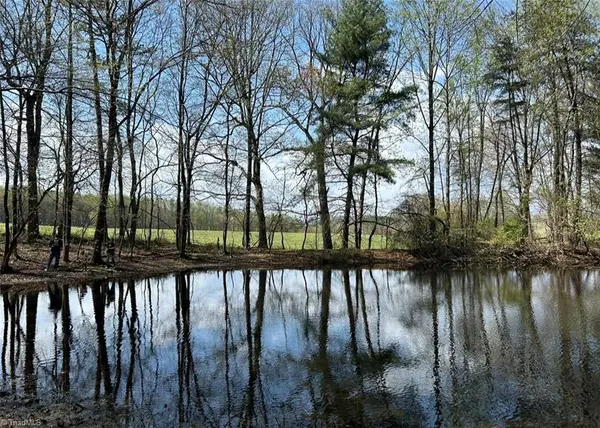 TBD Caves Mill Road, Dobson, NC 27017