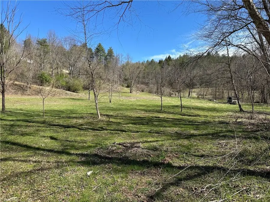 TBD Cobblestone Lane, Ferguson, NC 28624 - #3