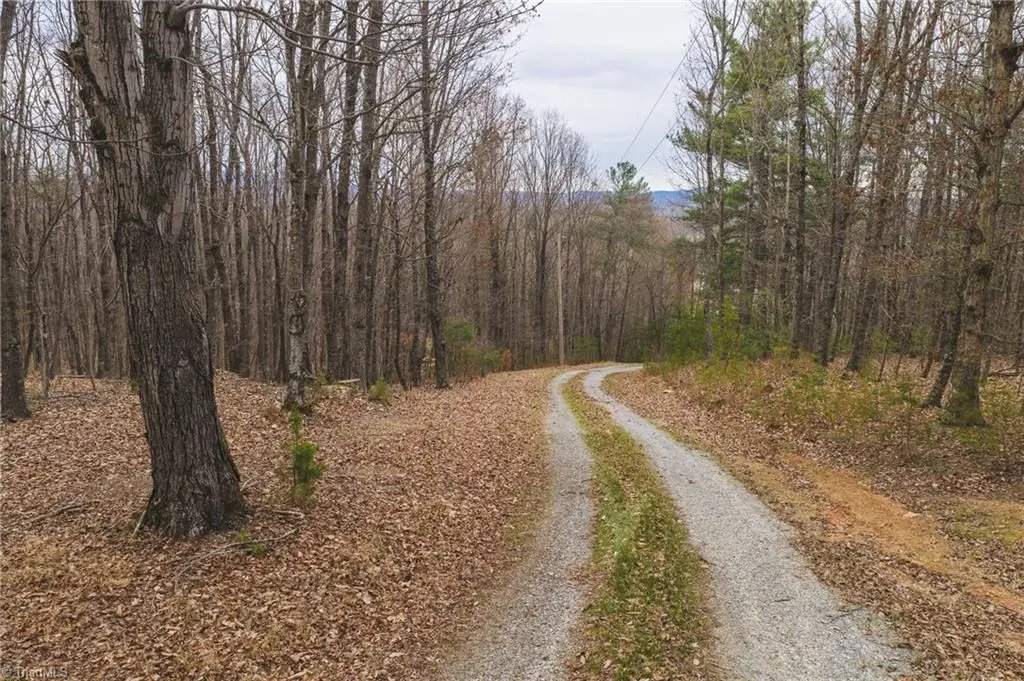 TBD Lot 1 All Healing Springs Road, Taylorsville, NC 28681 - #1