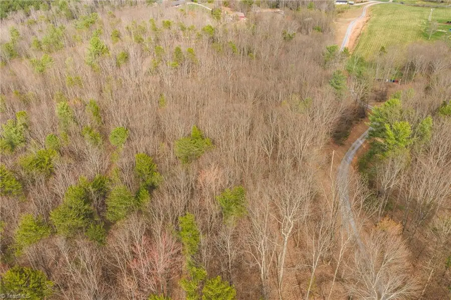 TBD Lot 1 All Healing Springs Road, Taylorsville, NC 28681 - #3