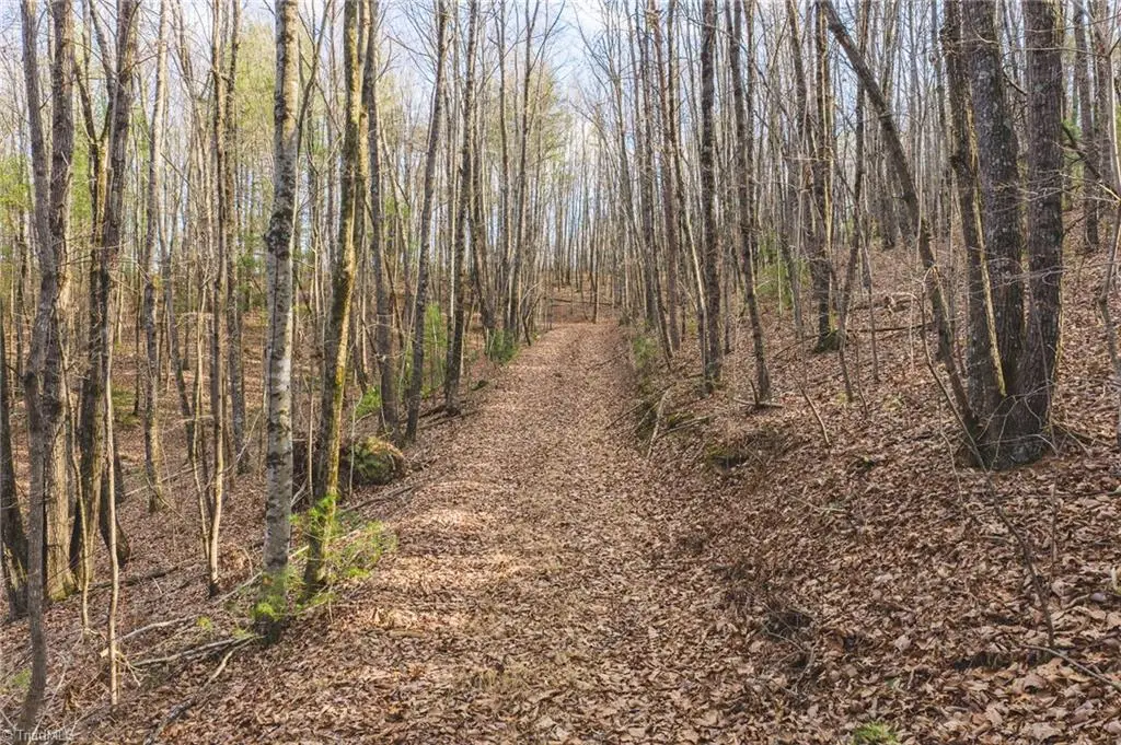 TBD Lot 2 All Healing Springs Road, Taylorsville, NC 28681 - #1