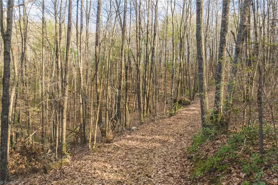 TBD Lot 2 All Healing Springs Road, Taylorsville, NC 28681 - #2