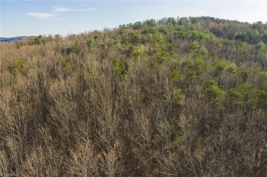 TBD Lot 2 All Healing Springs Road, Taylorsville, NC 28681 - #3