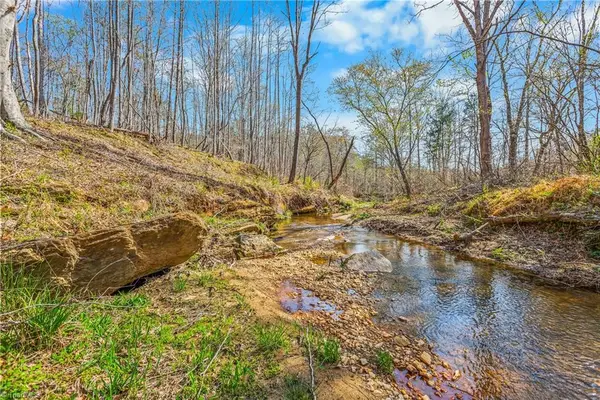 0 Farm Road, Pilot Mountain, NC 27041