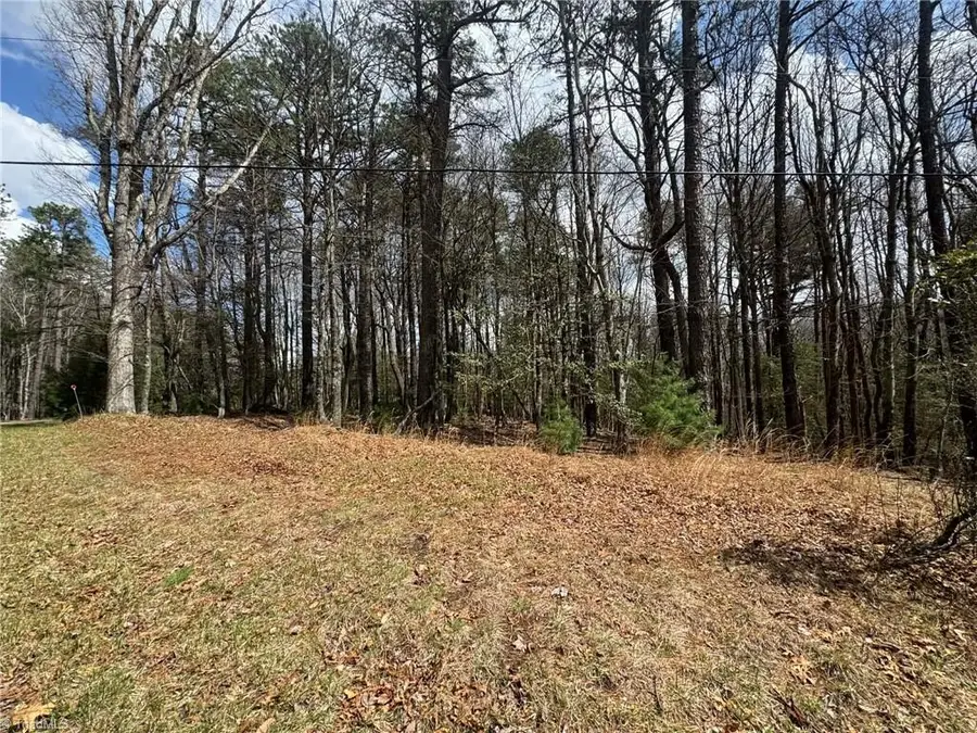 TBD Ward Circle Drive, Sparta, NC 28675 - #3