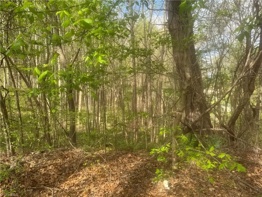 0 Della Drive, Winston Salem, NC 27105 - #2