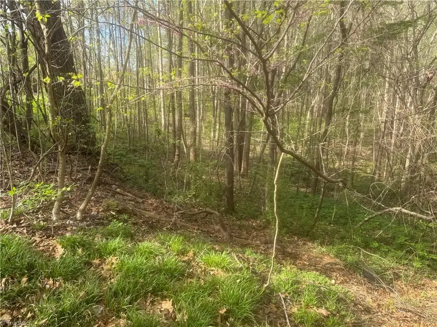 0 Della Drive, Winston Salem, NC 27105 - #3