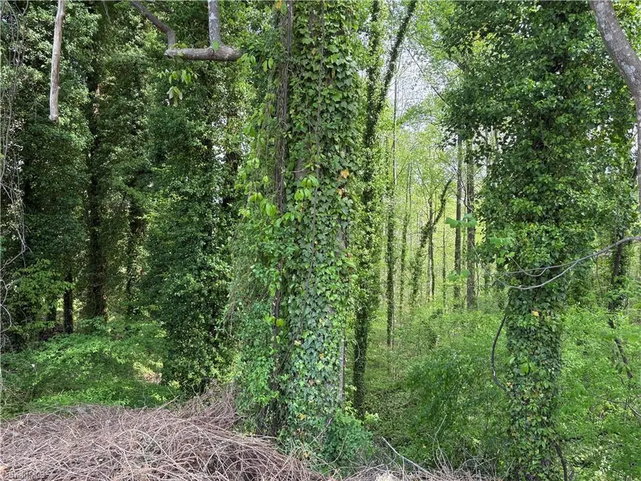 00 Apache Drive, Wallburg, NC 27107 - #2