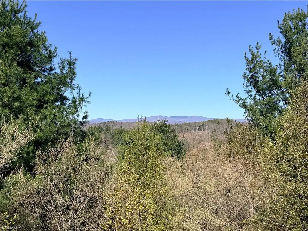 TBD (Lot 21 & 22) Martha Lane, Piney Creek, NC 28663 - #1