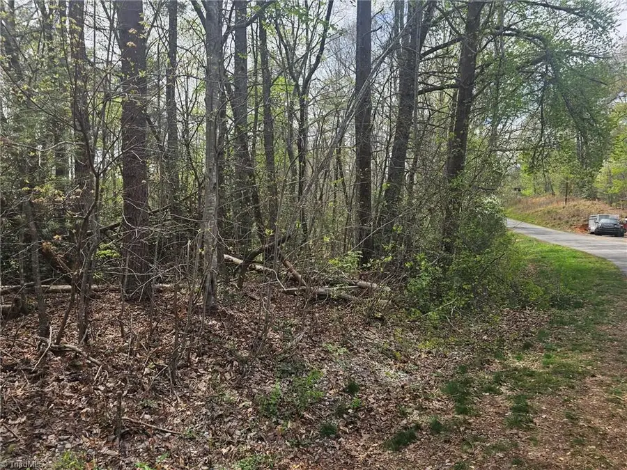 00 Spring Drive, North Wilkesboro, NC 28659 - #3