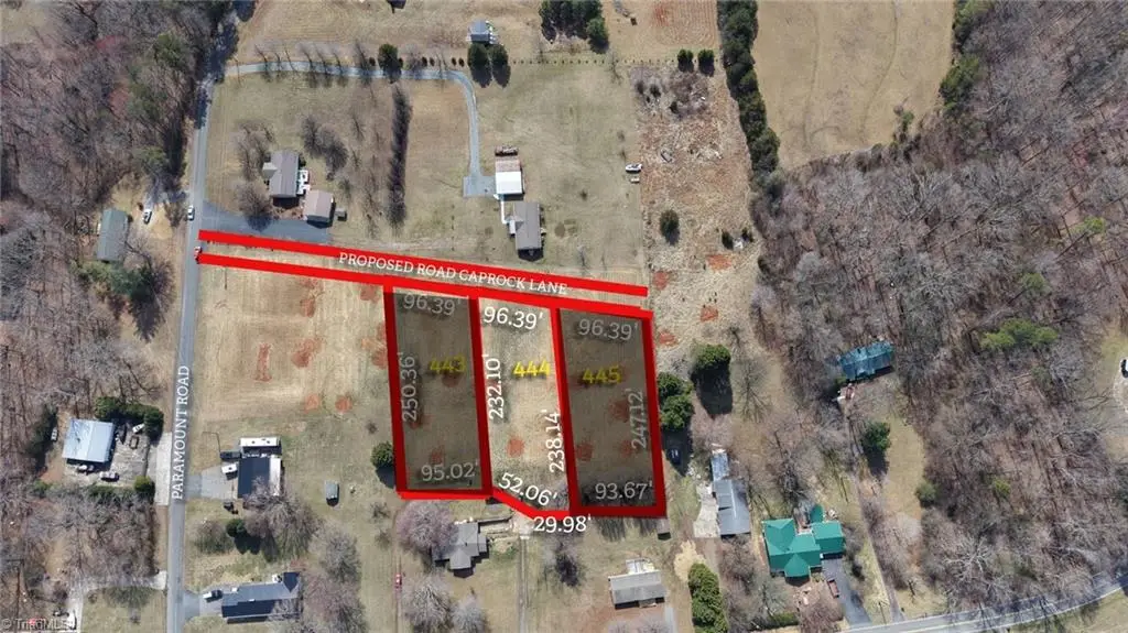 4417 Caprock Lane #1064, Pfafftown, NC 27040 - #1