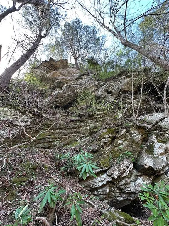 00 Seven Island Road, Danbury, NC 27016 - #2