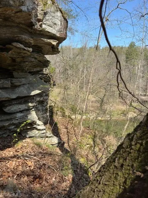 00 Seven Island Road, Danbury, NC 27016 - #3