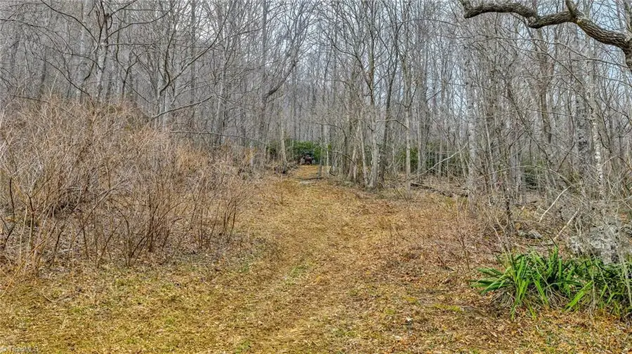 TBD 1 Three Top Road, Todd, NC 28684 - #3