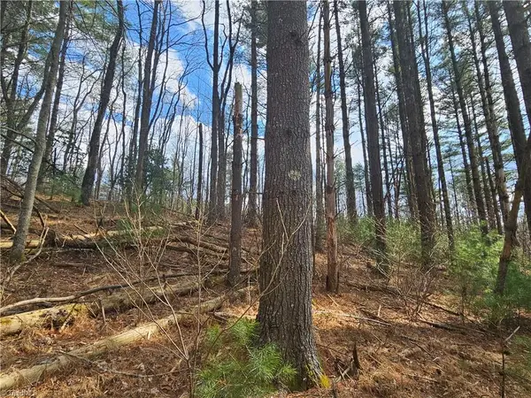 TBD Panorama Drive, Todd, NC 28684