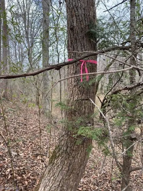 00 Seven Island Road, Danbury, NC 27016 - #2