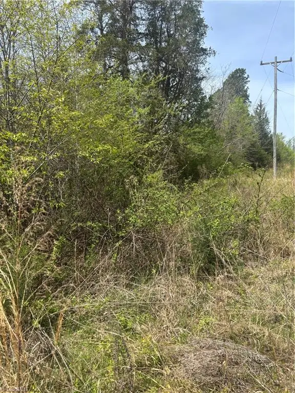 0 Blanchard Road, Burlington, NC 27217 - #2