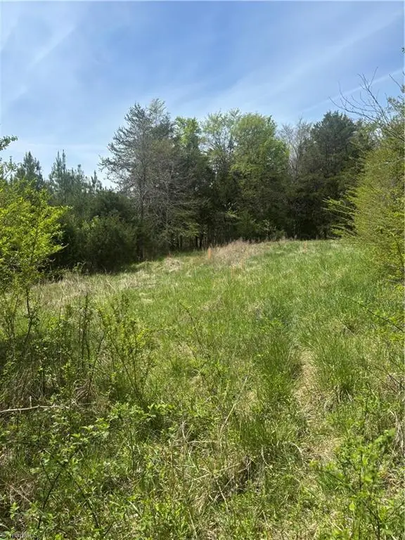 0 Blanchard Road, Burlington, NC 27217 - #3