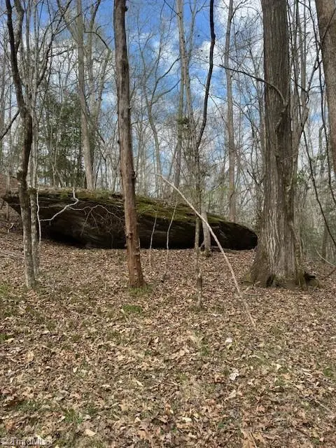 00 Seven Island Road, Danbury, NC 27016 - #2