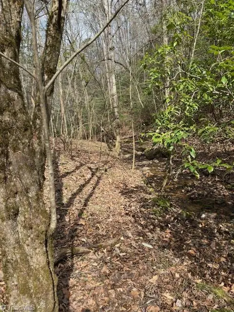 00 Seven Island Road, Danbury, NC 27016 - #3