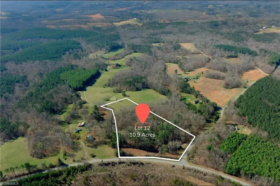 1019-12 George Road, Westfield, NC 27053 - #2