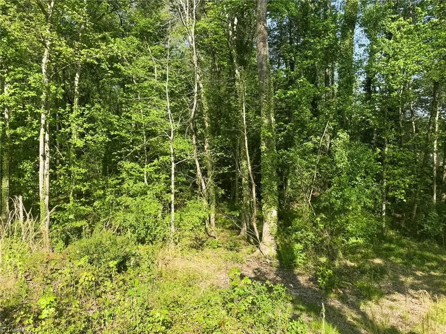 2139 Westminister Lane, Winston Salem, NC 27106 - #3