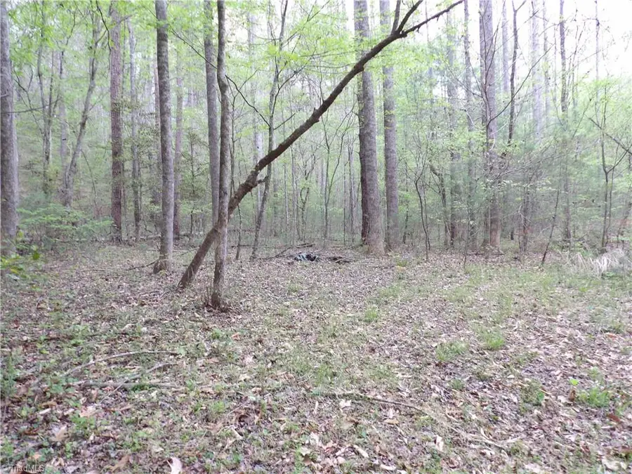00 Barlowe Place, Lenoir, NC 28645 - #3